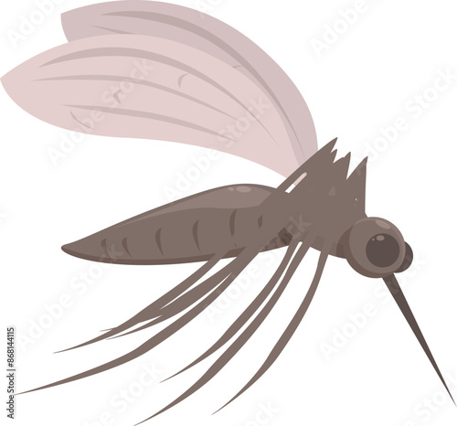 Mosquito spreading malaria zika and dengue fever flying insect