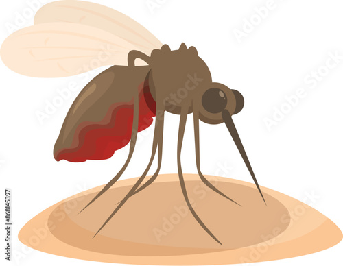 Mosquito standing on human skin and sucking blood, dangerous insect carrier of malaria and other diseases