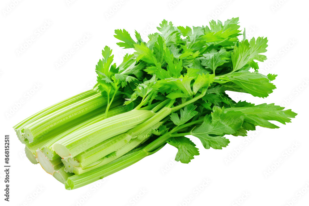 Fresh celery stalks with green leaves isolated on white background. Healthy vegetable for salads and cooking. Organic and nutritious diet food. Fresh celery stalks with green leaves isolated on white background. Healthy vegetable for salads and cooking. Organic and nutritious diet food.