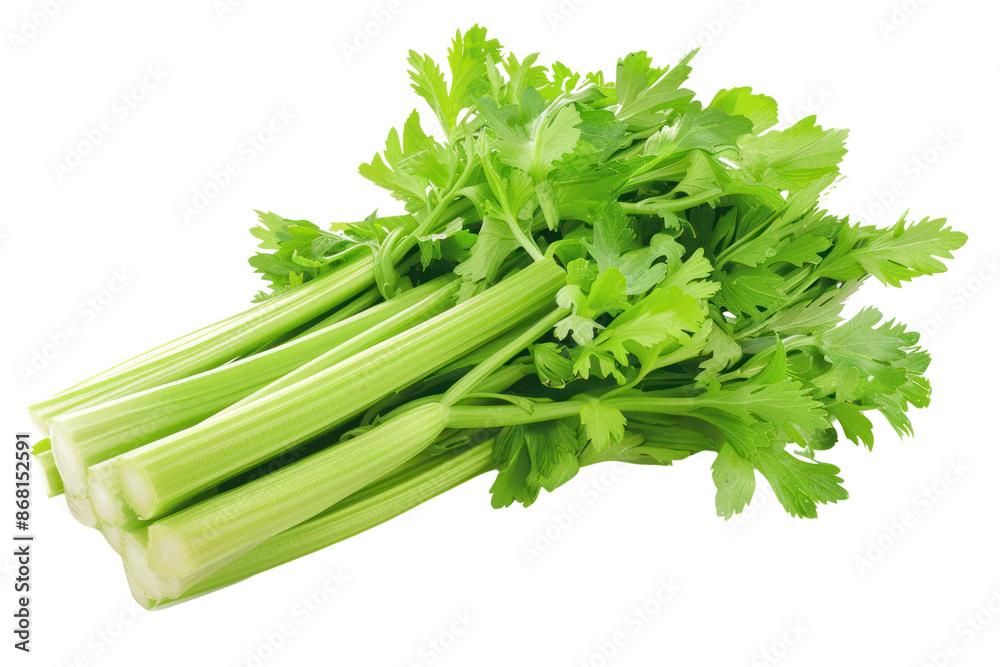 Fresh green celery stalks with leaves isolated on a white background. Perfect for salads, soups, and healthy snacks. Fresh green celery stalks with leaves isolated on a white background. Perfect for salads, soups, and healthy snacks.