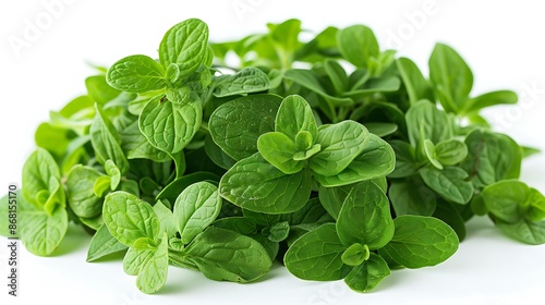 Pile of marjoram leaves isolated on a white background 