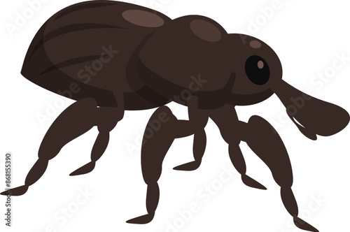 Large brown beetle with six legs and a long snout is walking