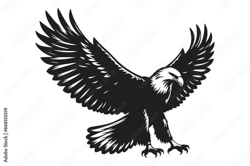 Eagle silhouette vector isolated on a white background Eagle silhouette vector isolated on a white background
