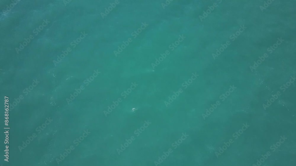 A drone flies low over the water of a mountain lake during sunset. Cloudless summer evening A drone flies low over the water of a mountain lake during sunset. Cloudless summer evening