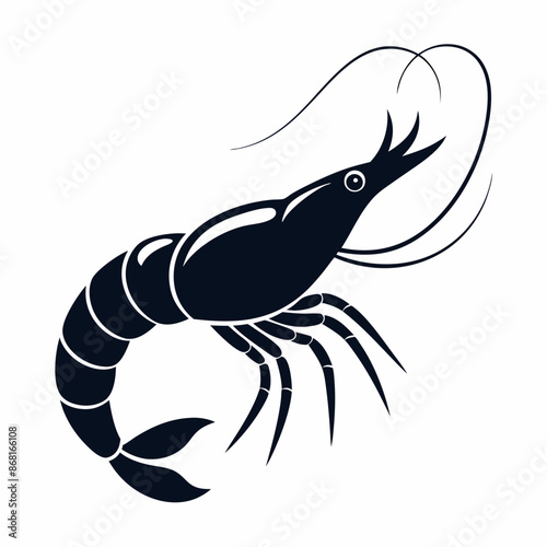 shrimp vector illustration