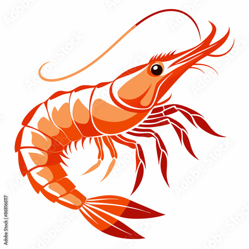 shrimp vector illustration