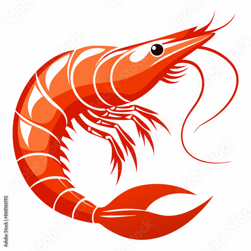 shrimp vector illustration
