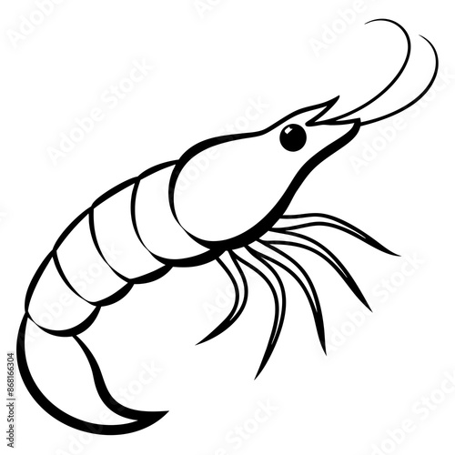 shrimp vector illustration