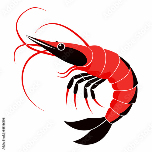 shrimp vector illustration