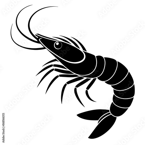 shrimp vector illustration