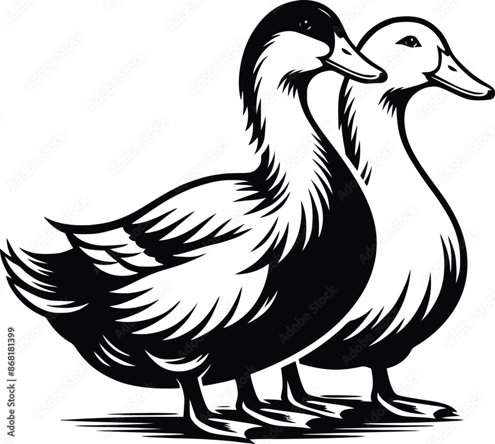 Fototapeta premium Duck goose silhouette vector png. Vector illustration duck png. transparent background