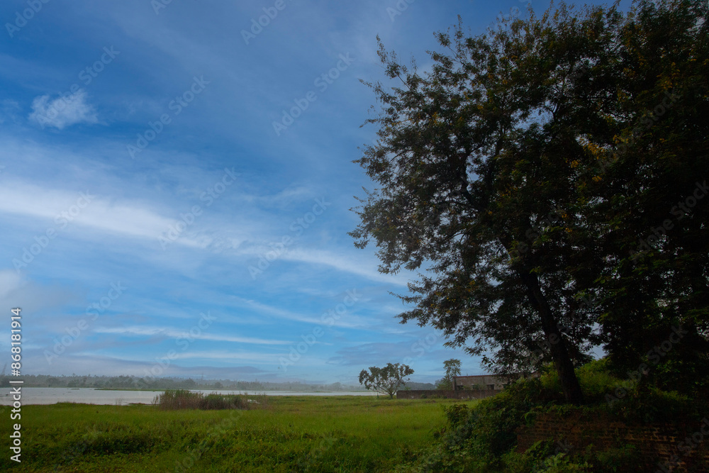 Beautiful landscape of rural bengal with vegetation Beautiful landscape of rural bengal with vegetation