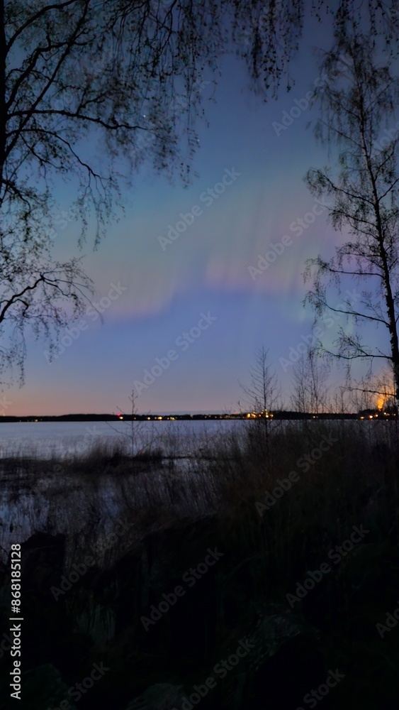 night view on northern lights from the forest near the lake night view on northern lights from the forest near the lake