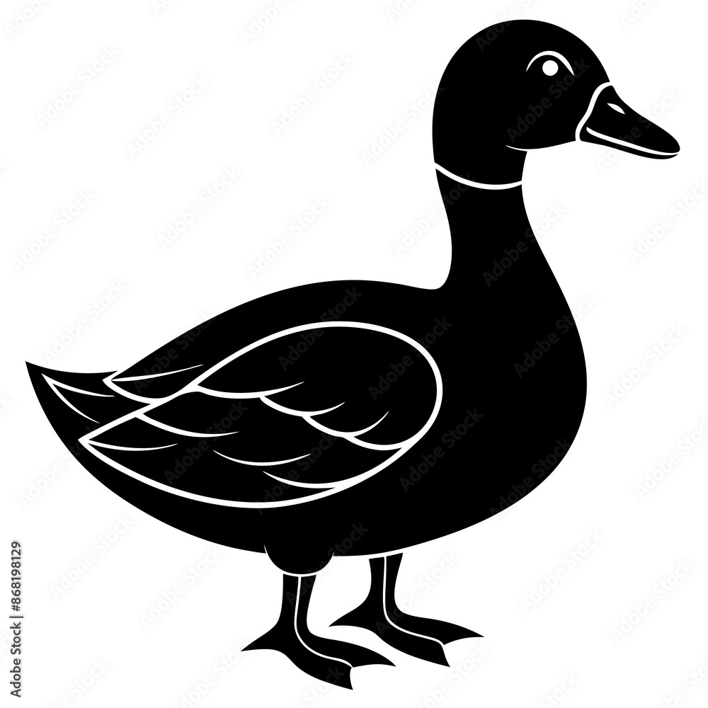 Beautiful duck silhouette vector illustration. Beautiful duck silhouette vector illustration.