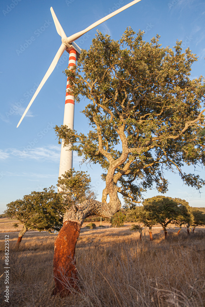 wind turbine in the forest and tree lit by sunset orange light ...