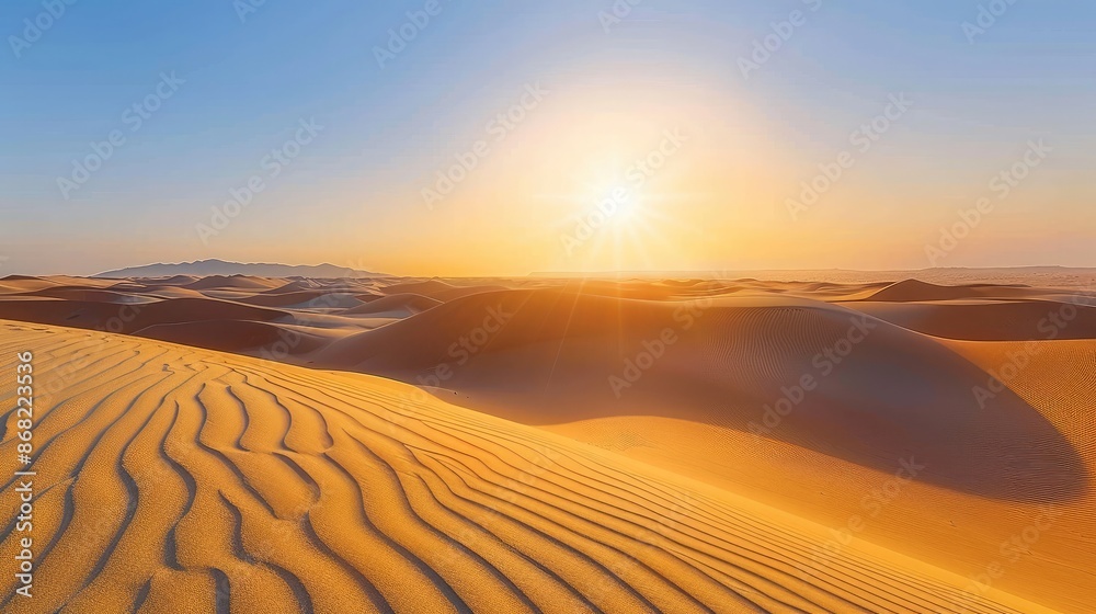 A vast desert landscape with rolling sand dunes and a setting sun casting long shadows.