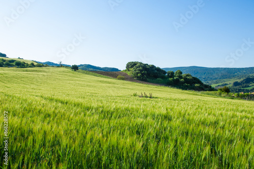 Landscape in Montecorto, Andalusia, Spain, Europe