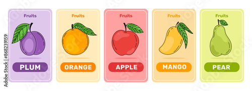 Colorful Fruit Flashcards for Kids. Perfect for Early Learning, Preschool, Kindergarten. Handdrawn cartoon style vector fruits .
