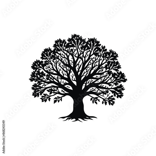 oak tree hand drawn vector illustration