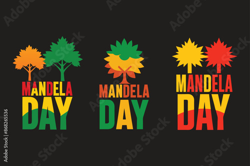 Nelson Mandela International Day, 18th July justice, typographic design, Vector Illustration. South African flag color abstract art