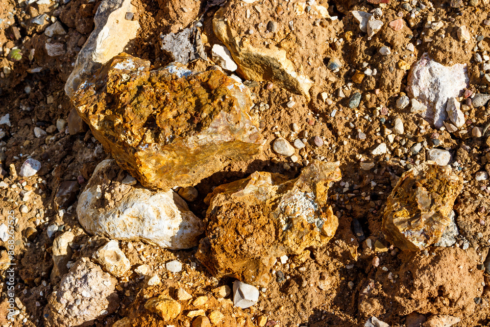 Siliceous rocks lying among limestone and clay in the open air Siliceous rocks lying among limestone and clay in the open air
