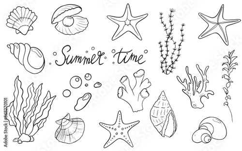 Tropical Ocean Nature Graphic Collection: Fun Sea Life, Marine Animals, Coral, and Shells Vector Wallpaper