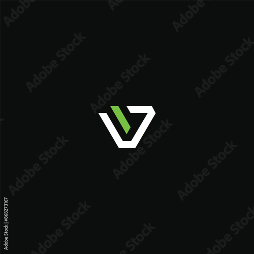 Letter V vector Logo