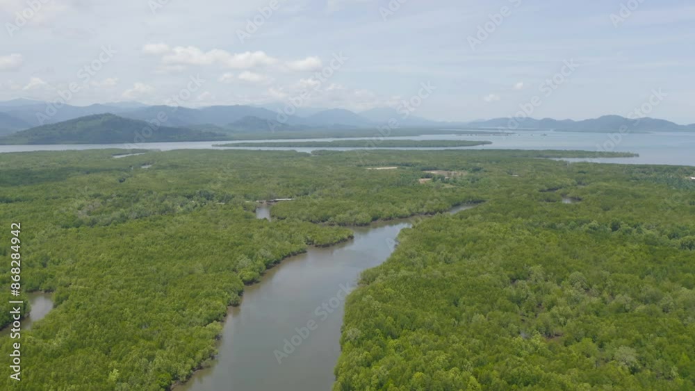 Aerial top view of Samet Nangshe, Phang Nga, lush green trees from above in tropical forest in national park in summer season. Natural landscape. Pattern texture background. Aerial top view of Samet Nangshe, Phang Nga, lush green trees from above in tropical forest in national park in summer season. Natural landscape. Pattern texture background.