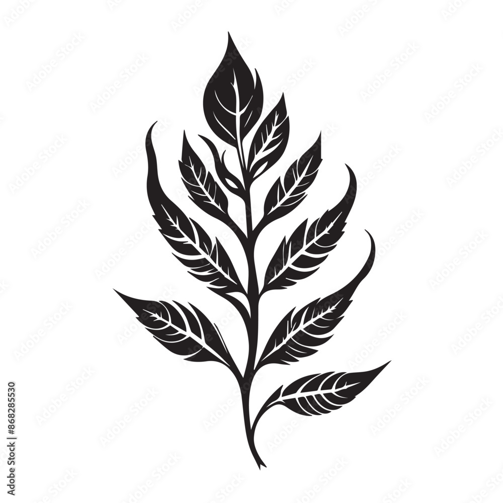 Tree leaf illustraion vector Tree leaf illustraion vector