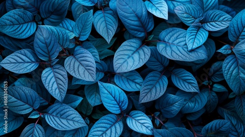 Serene blue leaves pattern in natural light