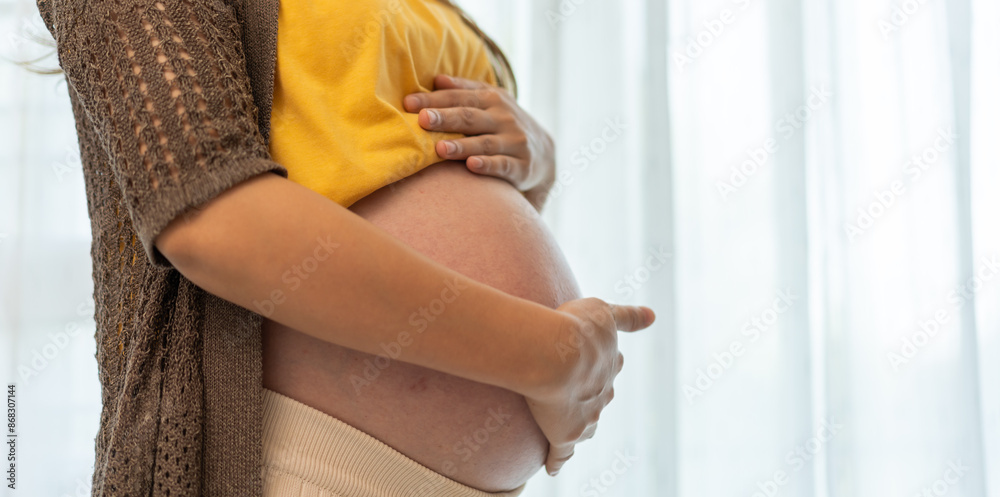 Fototapeta premium Happy smiling Mother woman hugging and smiling expecting with pregnancy hold baby in belly, woman pregnant, birth, preparation, maternity, care with childbirth at home.Love of family