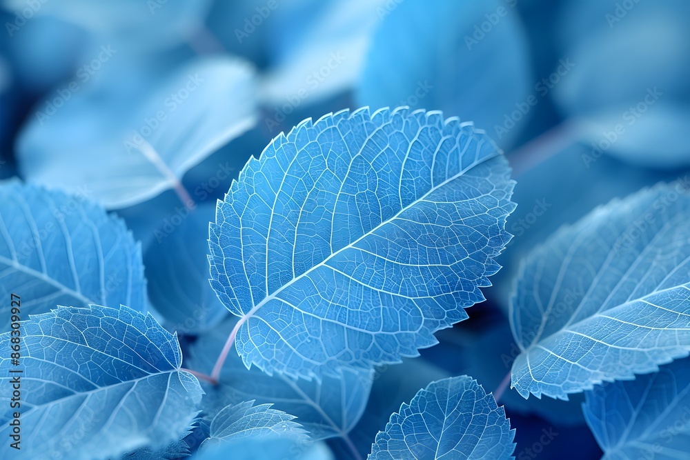 Close-Up of Vivid Blue Leaf on a Bed of Leaves Nature, Botanical, Textured Details, Fine Art Print Close-Up of Vivid Blue Leaf on a Bed of Leaves Nature, Botanical, Textured Details, Fine Art Print
