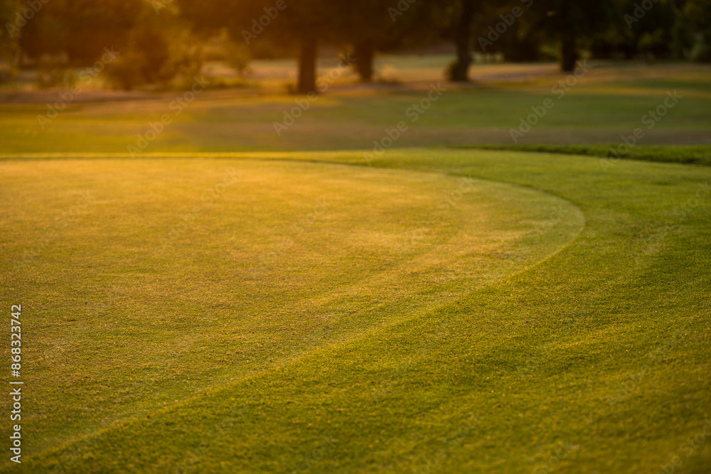 Obraz premium Golf course in green field