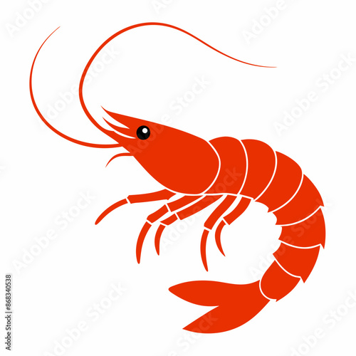 Shrimp vector illustration
