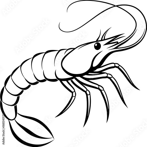 Shrimp vector illustration