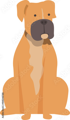 Cute boxer dog sitting, happy domestic animal pet