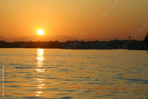 Scuba Diving in Redsea Egypt - Marine life