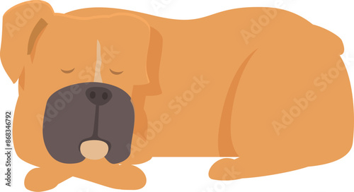 Adorable cartoon boxer dog sleeping peacefully on the ground, perfect for animal lovers and pet related designs
