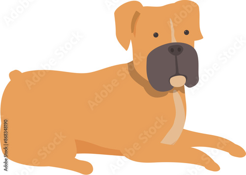 Adorable boxer dog laying down, showing its friendly and loyal personality