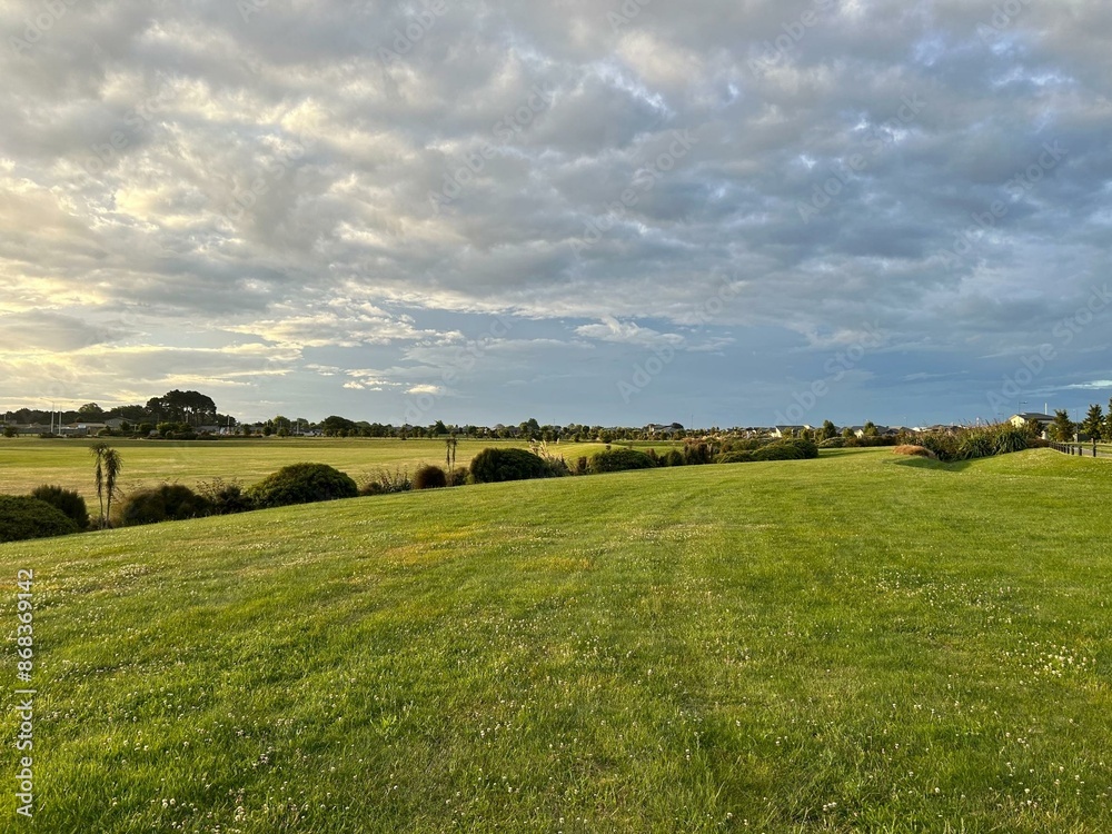Fototapeta premium field and blue sky