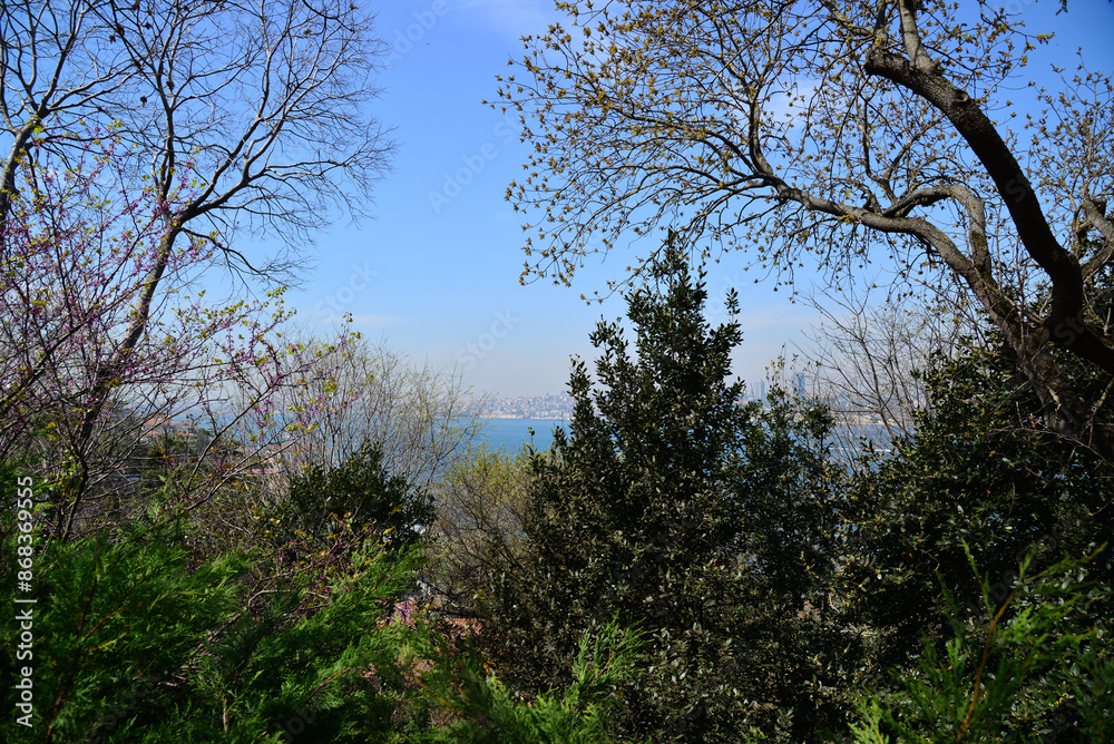 A view from Fethi Pasha Grove in Uskudar, Istanbul, Turkey A view from Fethi Pasha Grove in Uskudar, Istanbul, Turkey