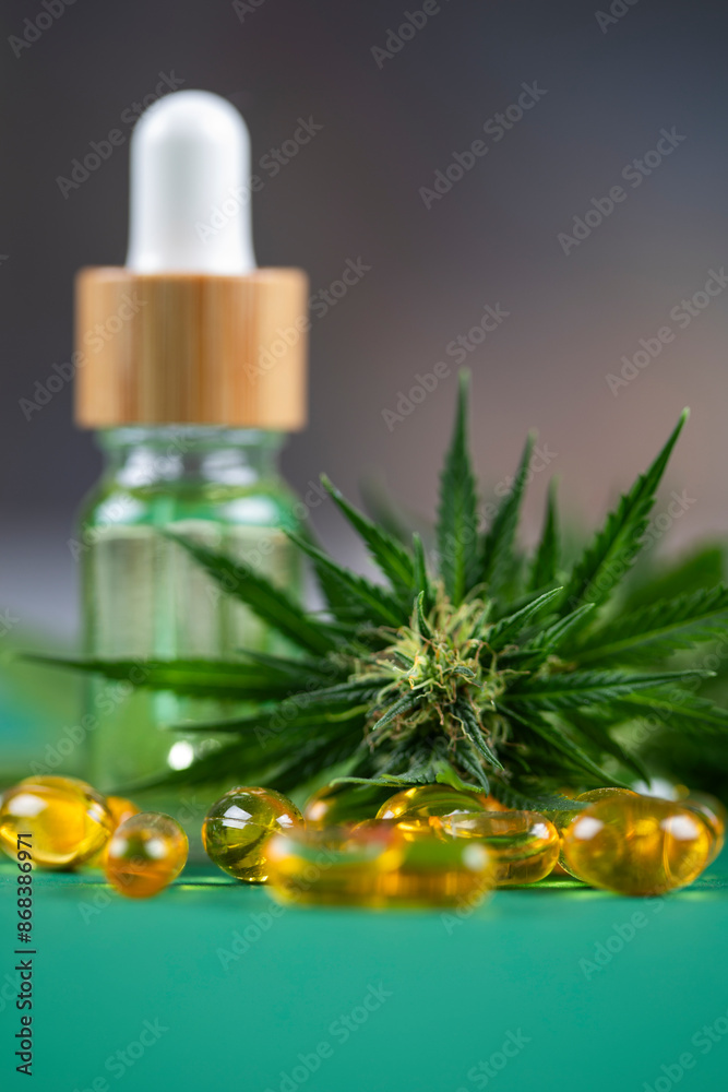 Medical marijuana, Oil cbd, cannabis and hemp leaves Medical marijuana, Oil cbd, cannabis and hemp leaves
