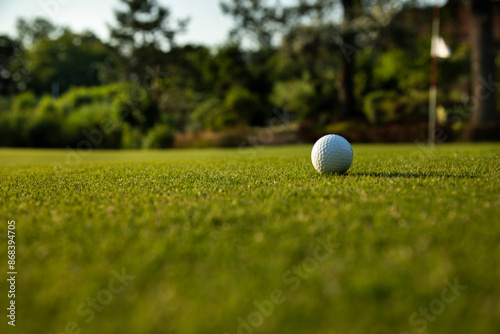 Golf ball in a club in the forest