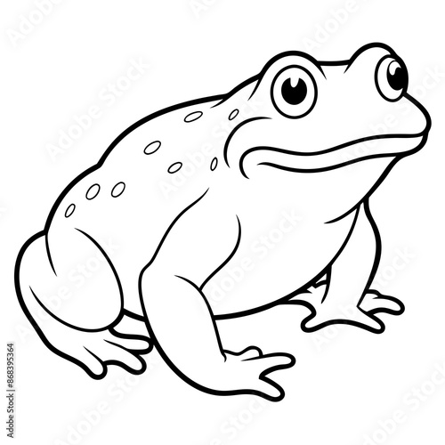 toad vector illustration