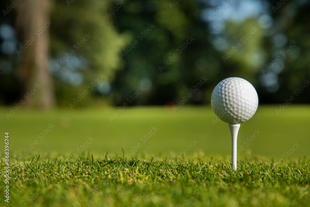 .Golf course with ball and grass .Golf course with ball and grass