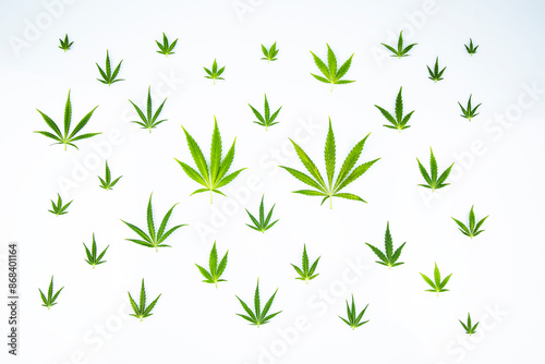 Cannabis ,marijuana isolated on white background