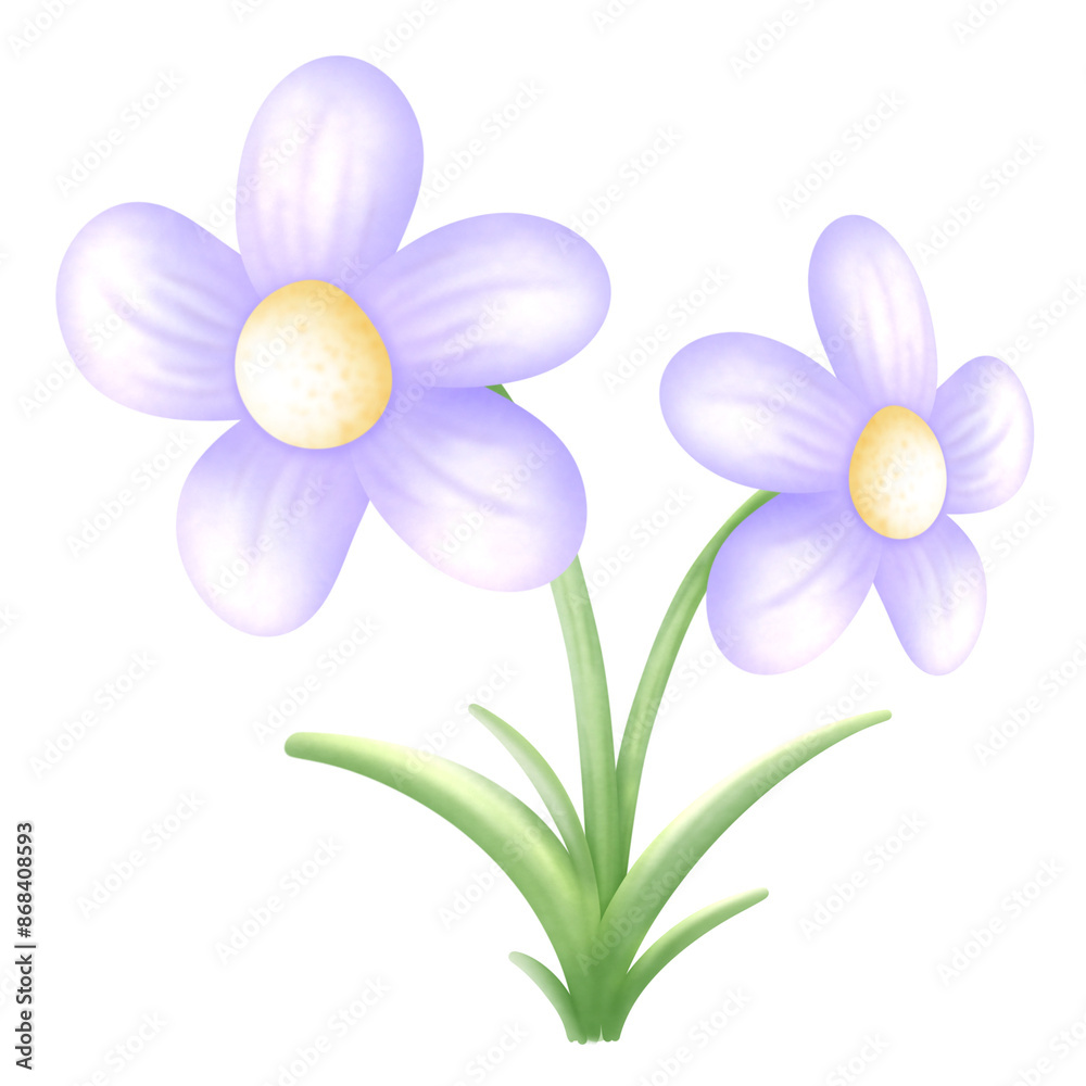 flowers flowers