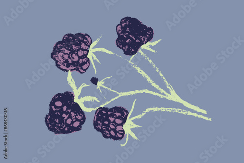 Blackberry symbol, black berry icon. Vector colorful mulberry and blackberries drawing. Black raspberry illustration for logo and emblem design. Floral sketch. Hand drawn botanical sign.