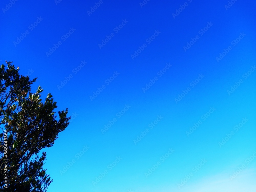 Obraz premium View nature of blue clouds and mountains with dense shady trees. View of blue clouds mountains. 