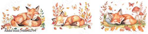 Illustration of a cute baby fox sleeping in the grass with a mushroom and autumn leaves.